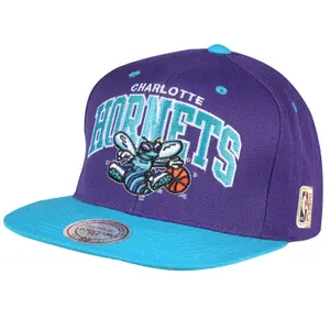 Cap Charlotte Hornets team image-0
