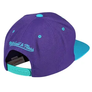 Cap Charlotte Hornets team image-1