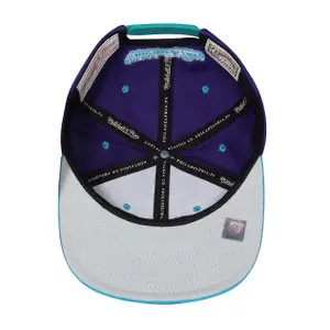 Cap Charlotte Hornets team image-2