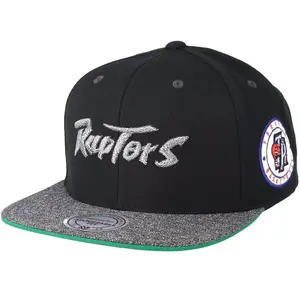 Cap Toronto Raptors hwc melange patch image-0