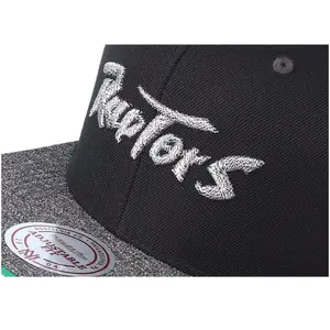 Cap Toronto Raptors hwc melange patch image-4