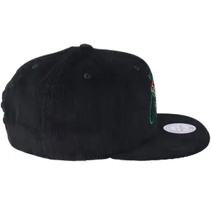 Cap Boston Celtics hwc all net image-2