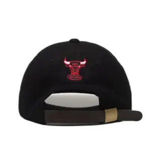 Cap Chicago Bulls hwc felt arch strapback image-3
