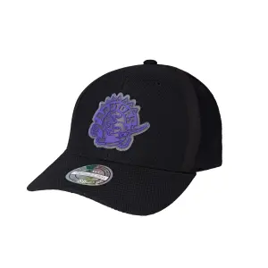Kappe Toronto Raptors hideout image-0