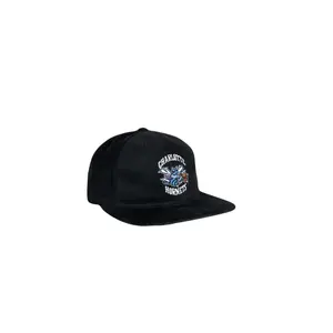 Cap Charlotte Hornets Dropback image-1
