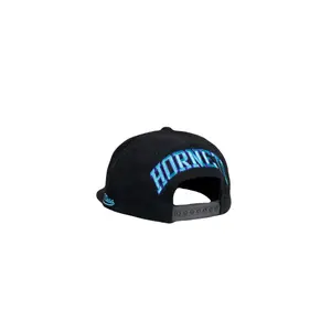 Cap Charlotte Hornets Dropback image-2