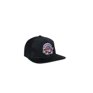 Cap Toronto Raptors Dropback image-1