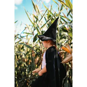 Magic hat disguise Moi Mili Gold Magic image-0