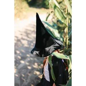 Magic hat disguise Moi Mili Gold Magic image-1