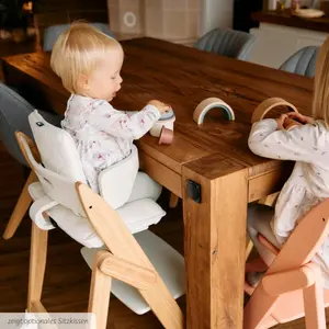 High chair safety bar Moji image-2