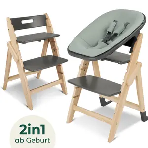 2-in-1 high chair for newborns Moji Yippy