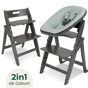 2-in-1 high chair for newborns Moji Yippy