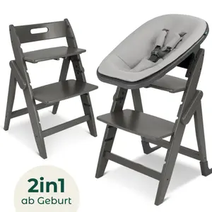 2-in-1 high chair for newborns Moji Yippy
