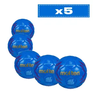Set aus 5 Handbällen FFHB H00X300 image-0