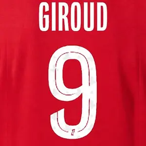 Flocagem casa LOSC Ligue 1 GIROUD #9 2026/27