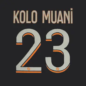 Third PSG shirt printing Ligue 1 KOLO MUANI #23 2023/24 image-0
