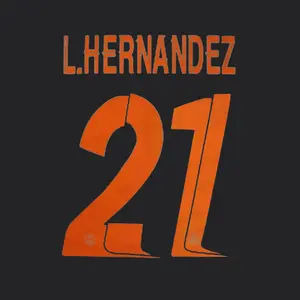 Third flock PSG Ligue des Champions L.HERNANDEZ #21 2023/24 image-0