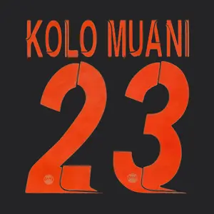 Third flock PSG Ligue des Champions KOLO MUANI #23 2023/24 image-0