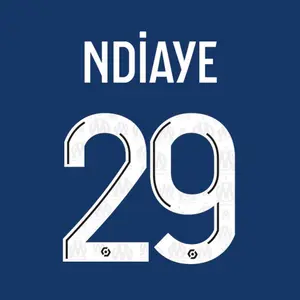 Beflockung away / third om ligue 1 ndiaye #29 2023/24