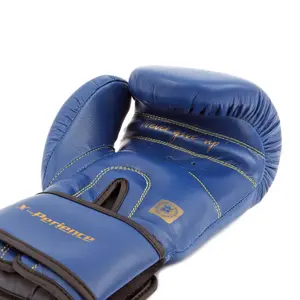 Gants de boxe Montana X-Perience image-4