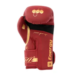 Rękawice bokserskie do treningu Montana Energy Legend image-2