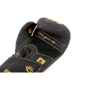 Gants de boxe entraînement Montana Vanguard NewCode image-2