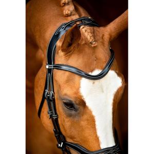 61001-4-vegan-leather-riding-bridles-montar-monarch-jumping-eco-black