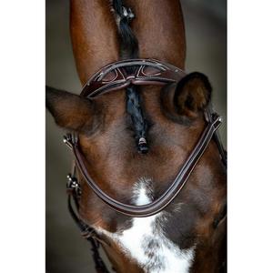 61001-8-vegan-leather-riding-bridles-montar-monarch-jumping-eco-brown