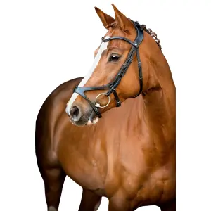 Sposa Montar US Excellence image-1