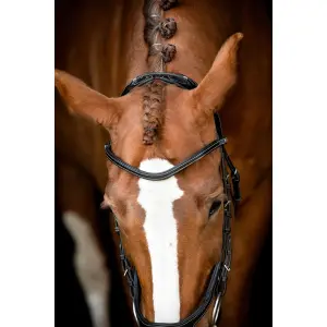 Sposa Montar US Excellence image-2