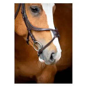 61503-8-ridtrans-i-vegansk-lader-montar-lyon-fig-8-jumping-eco-brun