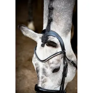 62003-4-ridtrans-i-vegansk-lader-montar-normandie-deluxe-eco-svart