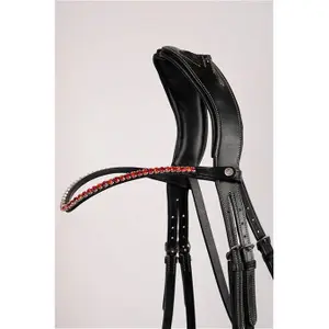Horse browband with crystal Montar Fair image-0