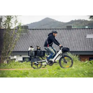 Vélo cargo électrique Monty V4 Rover image-1