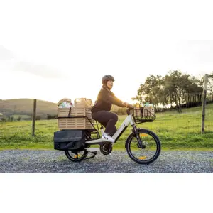 Vélo cargo électrique Monty V4 Rover image-2