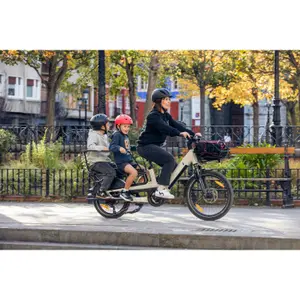 Vélo cargo électrique Monty V4 Rover image-3