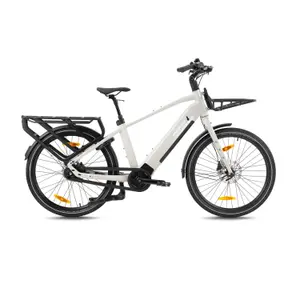 Vélo cargo électrique Monty V6 Strada