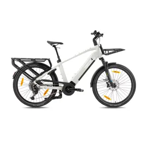 Vélo cargo électrique Monty V6 Rover