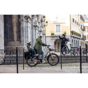 Vélo cargo électrique Monty V6 Rover image-2