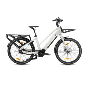 Vélo cargo électrique Monty V6 Strada St