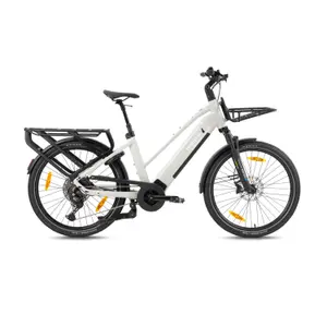 Vélo cargo électrique Monty V6 Rover St