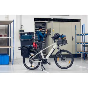 Vélo cargo électrique Monty V6 Rover St image-1