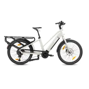 Vélo cargo électrique de route Monty V8
