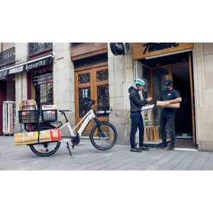 Vélo cargo électrique de route Monty V8 image-1