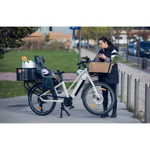 Vélo cargo électrique de route Monty V8 image-2
