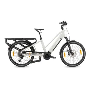 Vélo cargo électrique Monty V8 Rover Pro