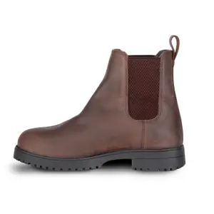 Boots d'équitation Moretta Forio Dealer image-1