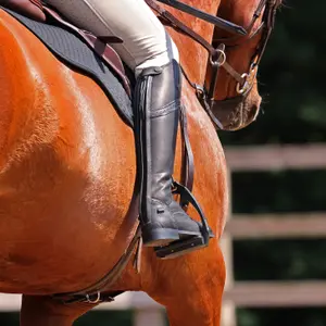 Botas de equitação Moretta Constantina image-5