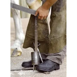 Ridstövlar för barn Mountain Horse Protective Jodhpur image-3