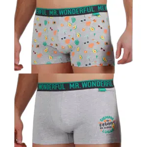 Boxer Mr. Wonderful It's Always Summer (x2) image-0